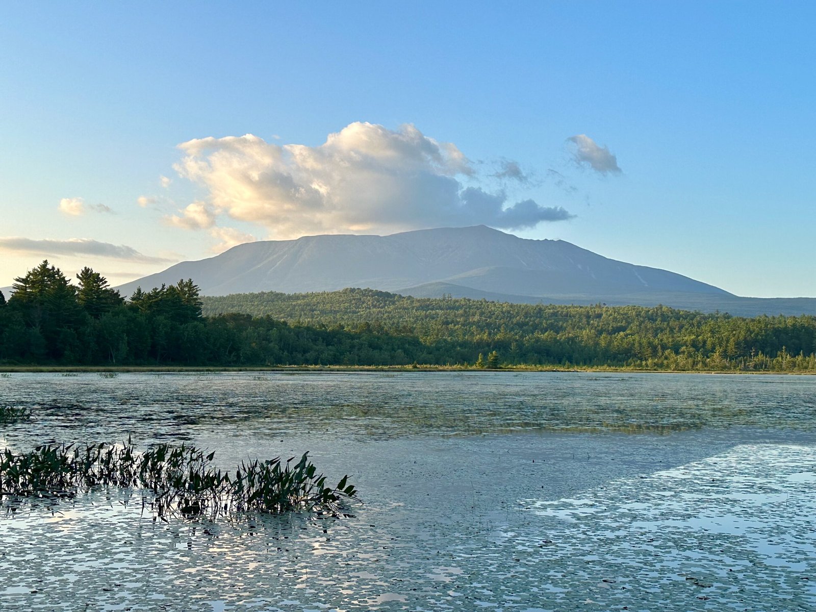 View of Mount Katahdin with a lily-covered lake in the foreground, a green forested slope rising to the summit, and clouds hovering over the peak.