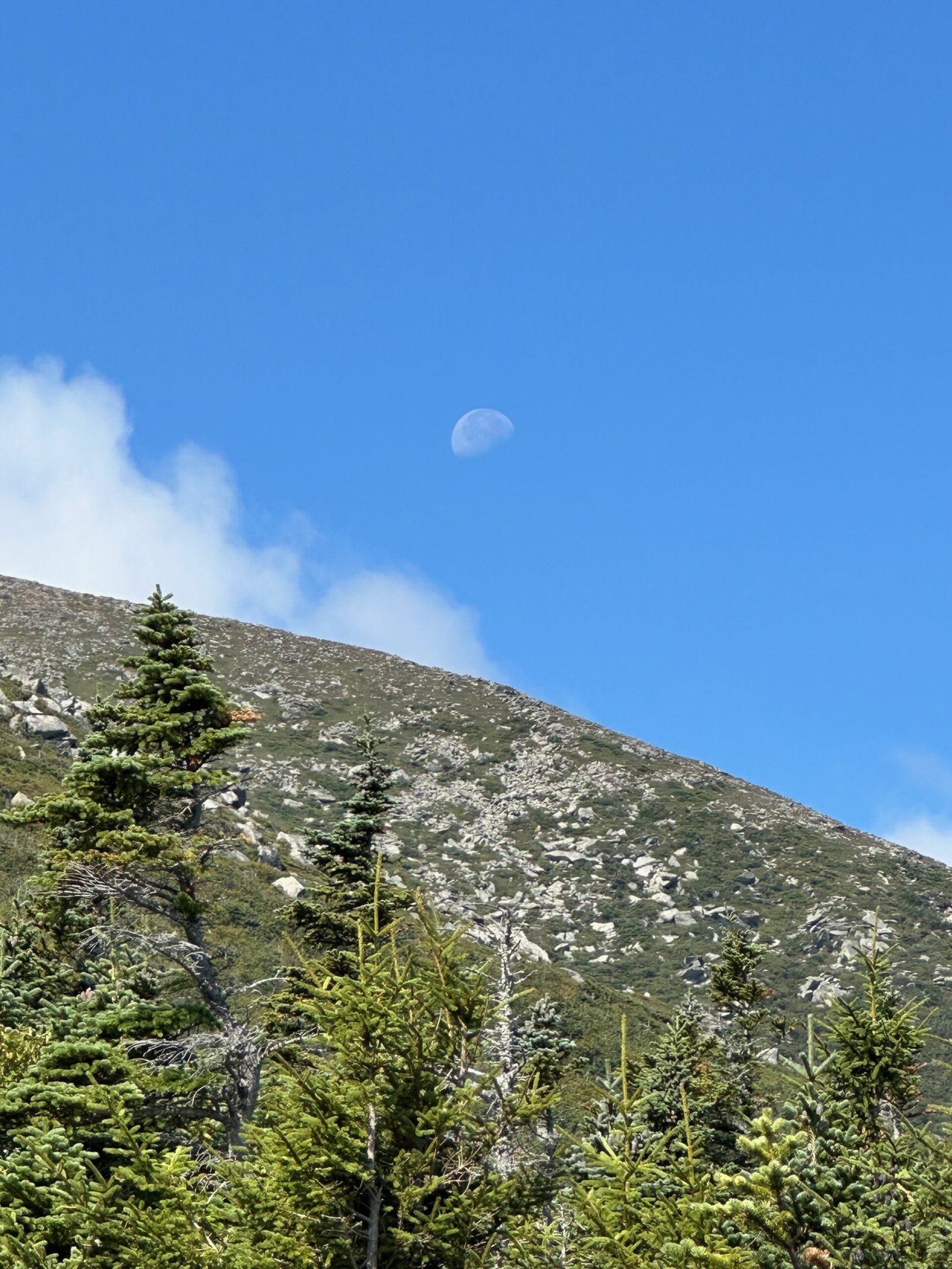 View of the moon rising above Mount Katahdin’s jagged peak from the Helon Taylor Trail, with the treeline below and fluffy clouds moving through a blue sky.